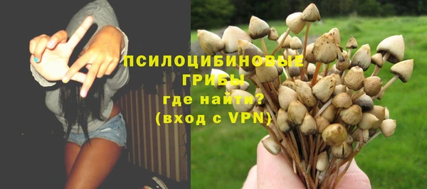 гашик Арсеньев