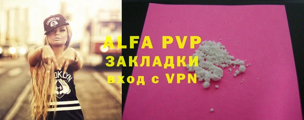 гашик Арсеньев
