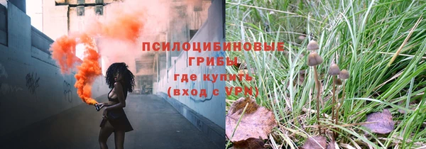 гашик Арсеньев