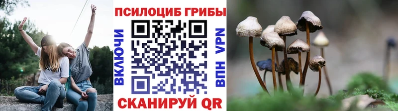 Псилоцибиновые грибы GOLDEN TEACHER  Пудож 